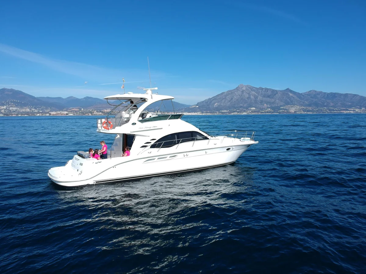 Sea Ray Sedan Bridge 525 2005 boat specs