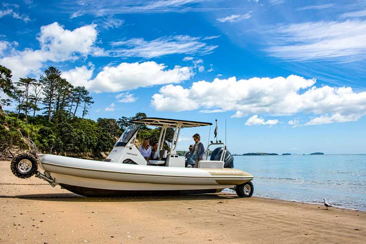 7.5M Amphibious RIB Boat Specs