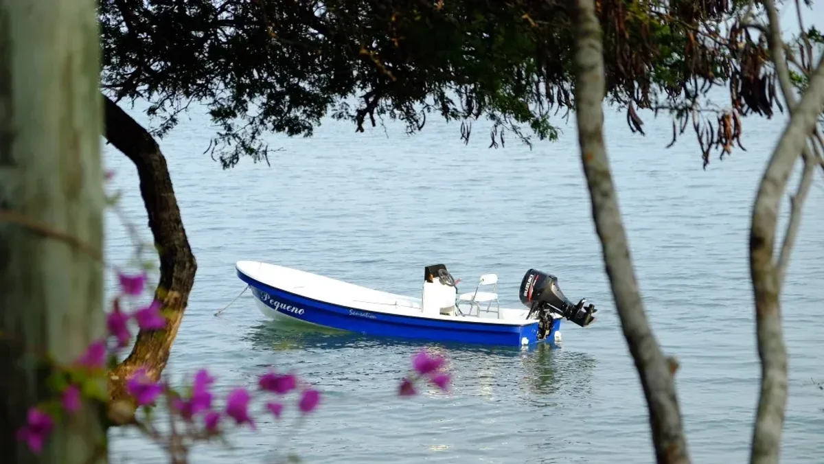 Sensation Boats Islander 2019 boat specs