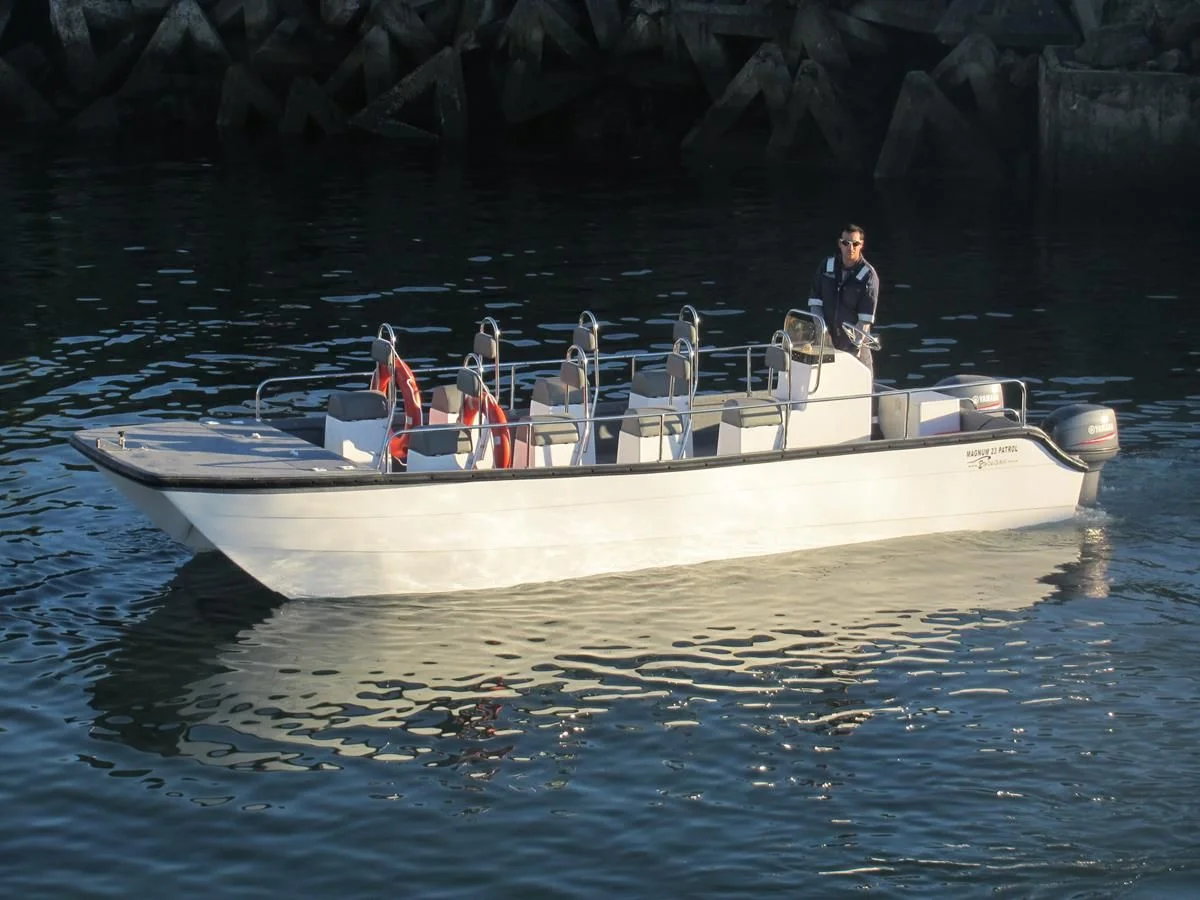 Two Oceans Magnum 23 Power Catamaran Centre Console 2004 boat specs