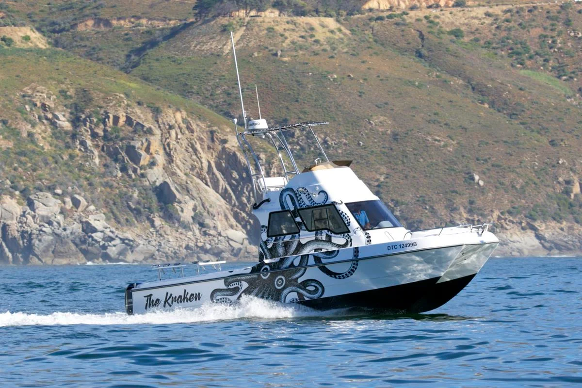 Two Oceans Magnum 32 Power Catamaran Walkaround 2018 boat specs